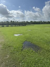 May be an image of grass and golf course