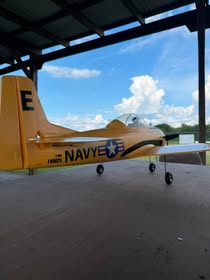 May be an image of aircraft