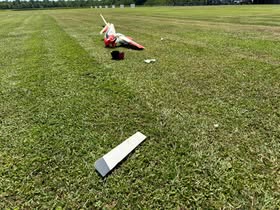 May be an image of grass