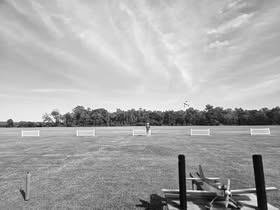 May be a black-and-white image
