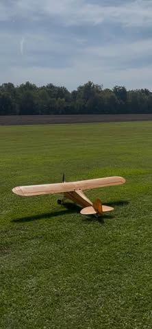 May be an image of aircraft