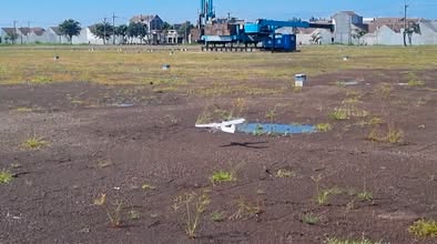 May be an image of seedlings and grass