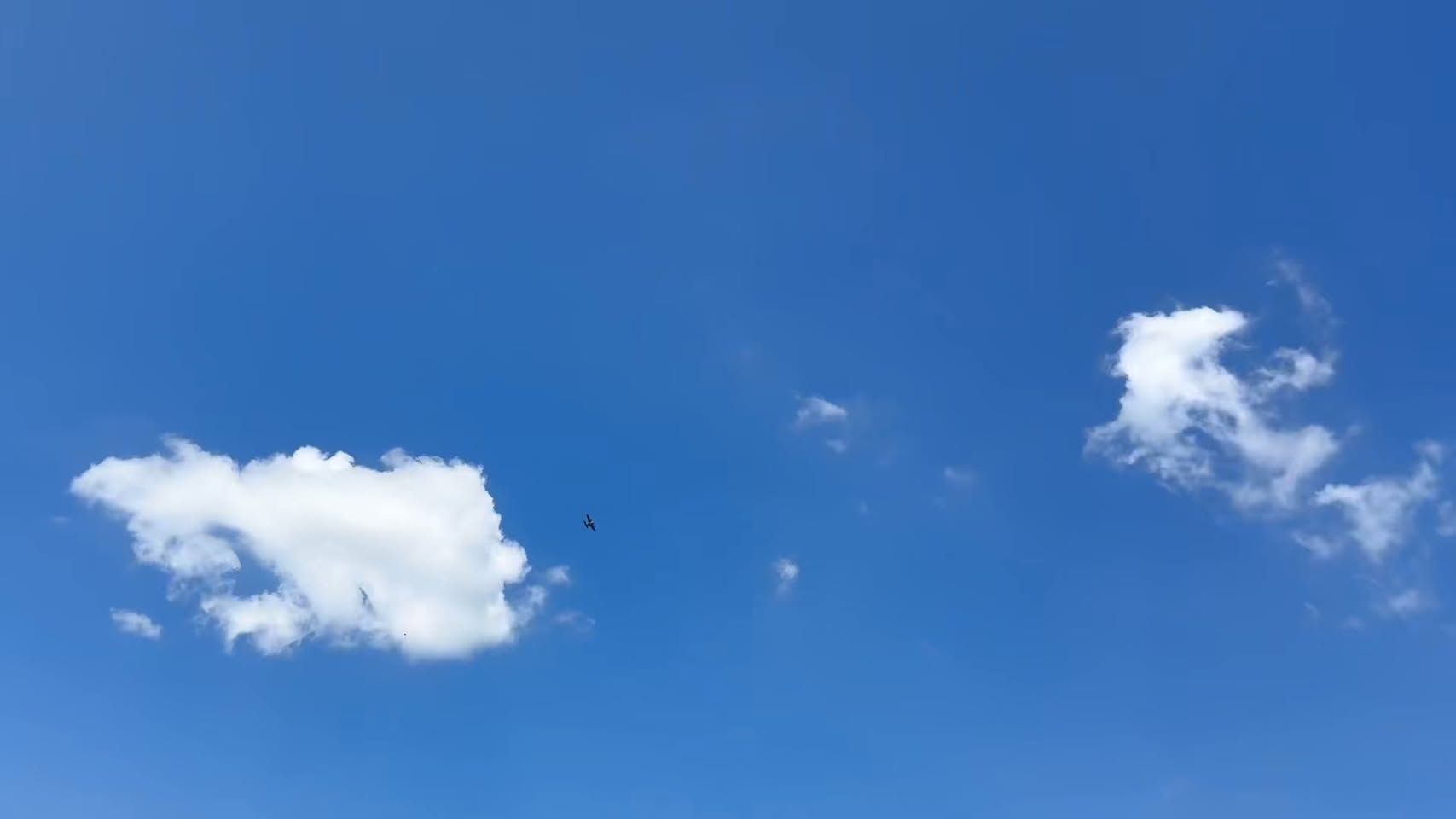 Video from BRRCC Facebook group
