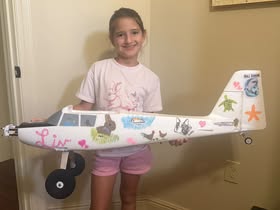 May be an image of aircraft and text